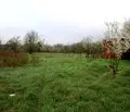 Снимка 2 — Парцел в Добрич, с. Сенокос