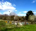 Снимка 5 — Парцел във Видин, с. Синаговци