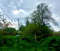 Снимка 2 — Парцел в Добрич, с. Славеево