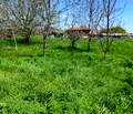 Снимка 3 — Парцел в Разград, с. Средоселци