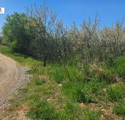 Photo 4 — Plot in Oblast Pernik, Stefanovo