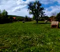 Снимка 3 — Парцел в Ловеч, с. Стефаново