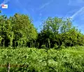 Снимка 2 — Парцел във Велико Търново, с. Страхилово