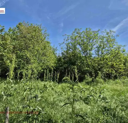 Photo 2 — Plot in Oblast Veliko Tyrnovo, Strahilovo