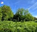 Снимка 3 — Парцел във Велико Търново, с. Страхилово