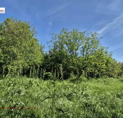 Photo 3 — Plot in Oblast Veliko Tyrnovo, Strahilovo