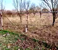 Снимка 3 — Парцел в Стара Загора, с. Сърнево