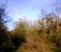 Снимка 3 — Парцел в Плевен, с. Тученица