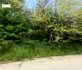 Снимка 3 — Парцел в Габрово, с. Туркинча