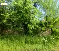 Снимка 5 — Парцел в Габрово, с. Туркинча