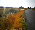 Снимка 4 — Парцел в Бургас, с. Тънково