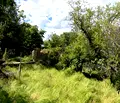 Снимка 4 — Парцел в Пловдив, с. Ведраре