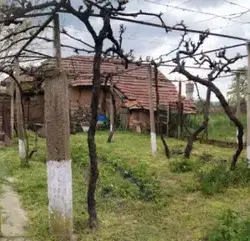 Снимка 3 — Парцел в Стара Загора, с. Ветрен