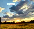 Снимка 5 — Парцел в с. Войнеговци