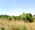 Снимка 2 — Парцел в с. Волуяк