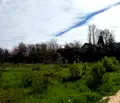 Снимка 4 — Парцел във Видин, с. Ясен
