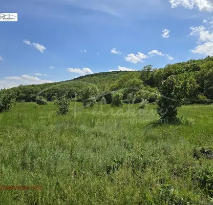Снимка 4 — Парцел в Бургас, с. Ясна поляна