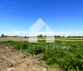 Снимка 2 — Парцел в Пловдив, с. Златитрап
