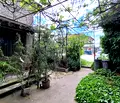 Снимка 4 — Парцел в Пловдив, Садово