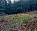 Снимка 2 — Парцел в Благоевград, Сандански