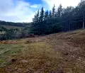 Снимка 4 — Парцел в Благоевград, Сандански