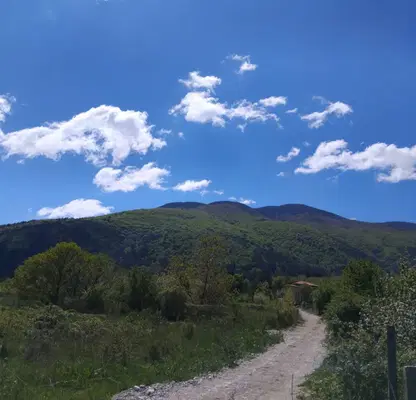 Photo 4 — Plot in Oblast Kyustendil, Sapareva Banya