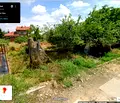 Снимка 3 — Парцел в Пазарджик, Септември
