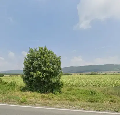 Photo 4 — Plot in Oblast Gabrovo, Sevlievo