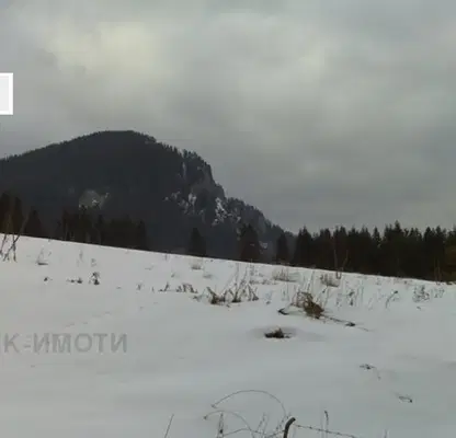 Photo 4 — Plot in Smolyan, Ezerovo