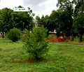 Снимка 4 — Парцел в София, Бенковски