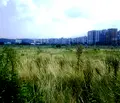 Снимка 3 — Парцел в София, Дружба 2