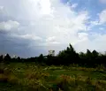 Снимка 3 — Парцел в София, Красна поляна 2