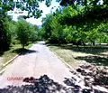 Снимка 2 — Парцел в София, Кръстова вада