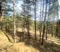Снимка 3 — Парцел в София, м-т Щъркелово гнездо