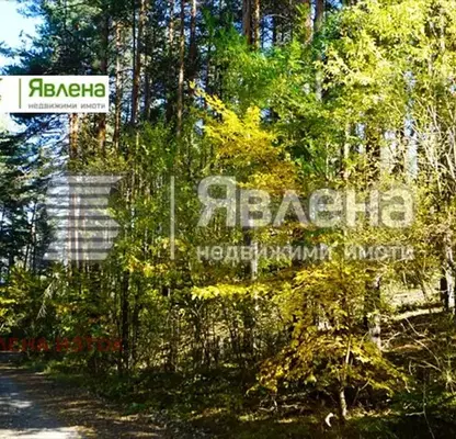 Снимка 3 — Парцел в София, м-т Щъркелово гнездо