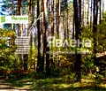 Снимка 4 — Парцел в София, м-т Щъркелово гнездо