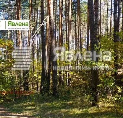 Снимка 4 — Парцел в София, м-т Щъркелово гнездо