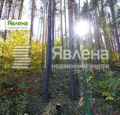 Снимка 5 — Парцел в София, м-т Щъркелово гнездо