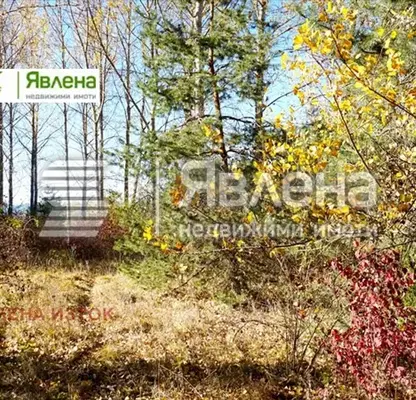 Снимка 4 — Парцел в София, м-т яз. Искър