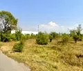 Снимка 3 — Парцел в София, Обеля 2