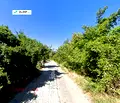Снимка 4 — Парцел в София, Симеоново