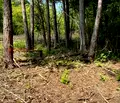 Снимка 2 — Парцел в София, в.з.Горна баня