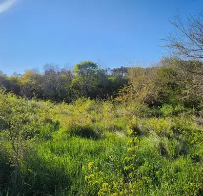 Photo 2 — Plot in Oblast Burgas, Sozopol