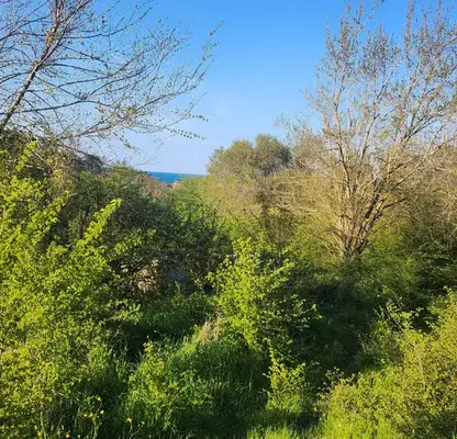 Photo 3 — Plot in Oblast Burgas, Sozopol