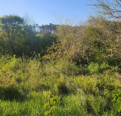 Photo 4 — Plot in Oblast Burgas, Sozopol