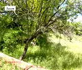 Снимка 4 — Парцел в Стара Загора, Железник - център