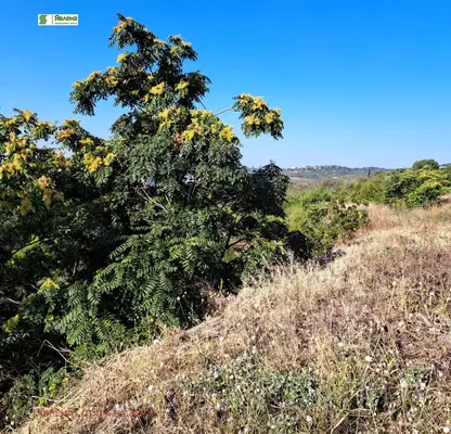 Photo 2 — Plot in Stara Zagora, Jeleznik - Iztok