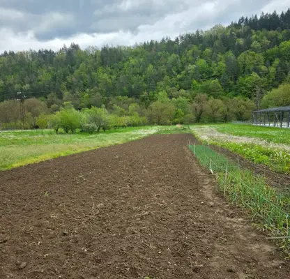 Photo 2 — Plot in Oblast Lovech, Troyan