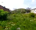 Снимка 5 — Парцел в Ловеч, Троян