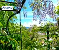 Снимка 4 — Парцел във Варна, Бриз